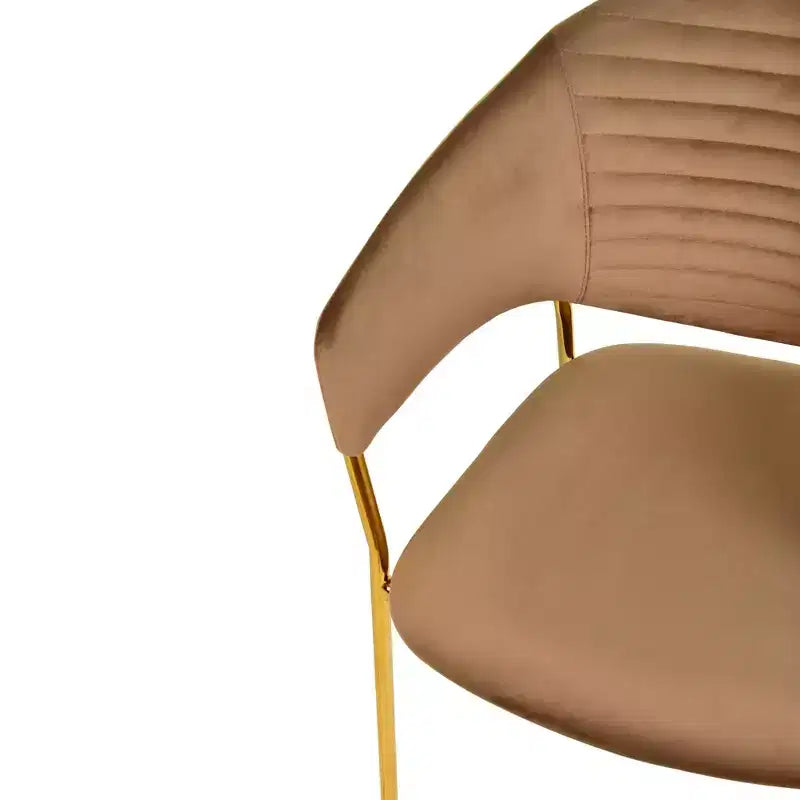 Sedia da pranzo imbottita in pelle e velluto, seduta e schienale ergonomici imbottiti, base durevole in acciaio inossidabile, poltroncina di design