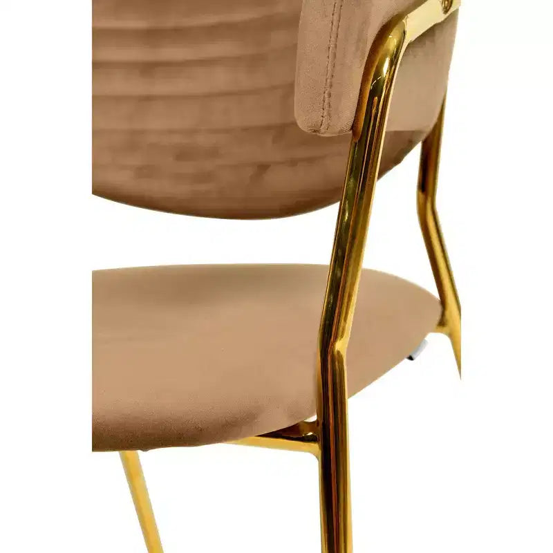 Sedia da pranzo imbottita in pelle e velluto, seduta e schienale ergonomici imbottiti, base durevole in acciaio inossidabile, poltroncina di design