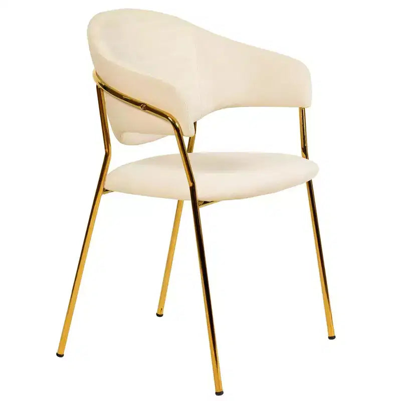 Sedia da pranzo imbottita in pelle e velluto, seduta e schienale ergonomici imbottiti, base durevole in acciaio inossidabile, poltroncina di design