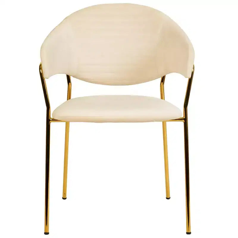Sedia da pranzo imbottita in pelle e velluto, seduta e schienale ergonomici imbottiti, base durevole in acciaio inossidabile, poltroncina di design