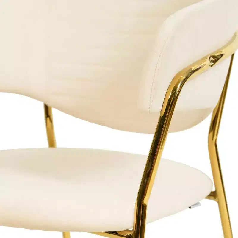Sedia da pranzo imbottita in pelle e velluto, seduta e schienale ergonomici imbottiti, base durevole in acciaio inossidabile, poltroncina di design