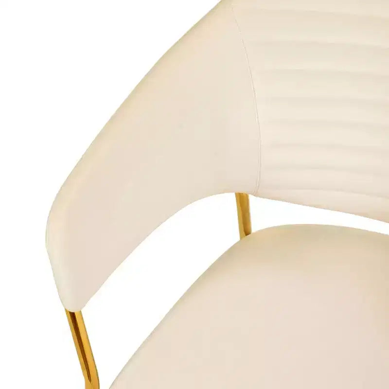 Sedia da pranzo imbottita in pelle e velluto, seduta e schienale ergonomici imbottiti, base durevole in acciaio inossidabile, poltroncina di design