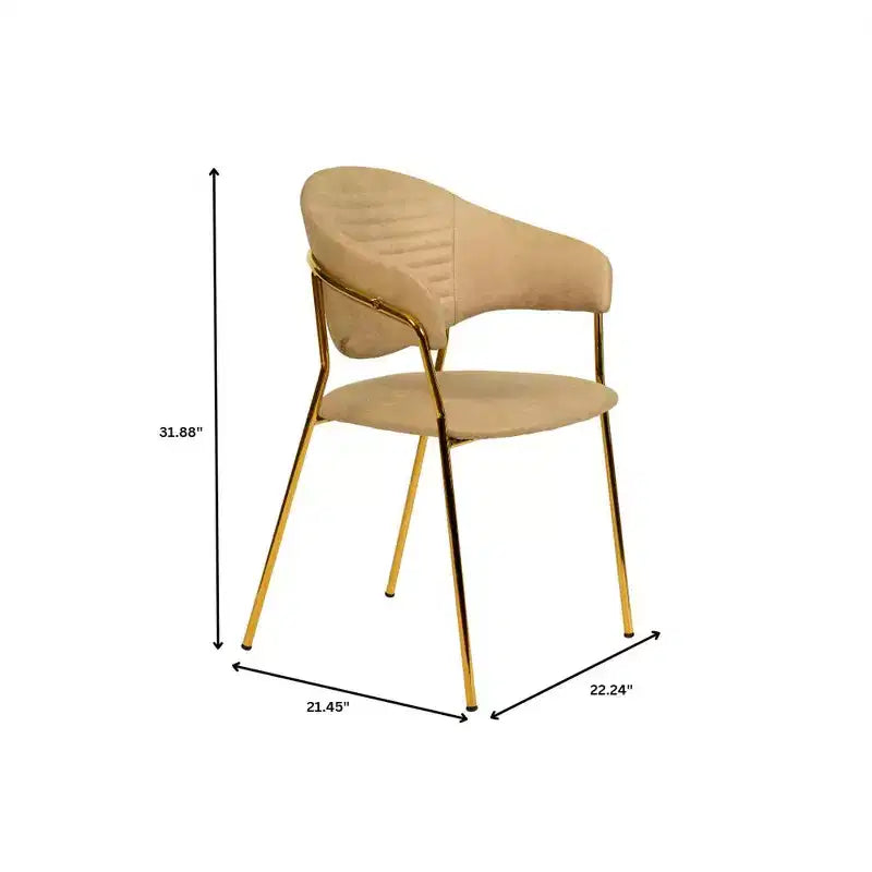 Sedia da pranzo imbottita in pelle e velluto, seduta e schienale ergonomici imbottiti, base durevole in acciaio inossidabile, poltroncina di design
