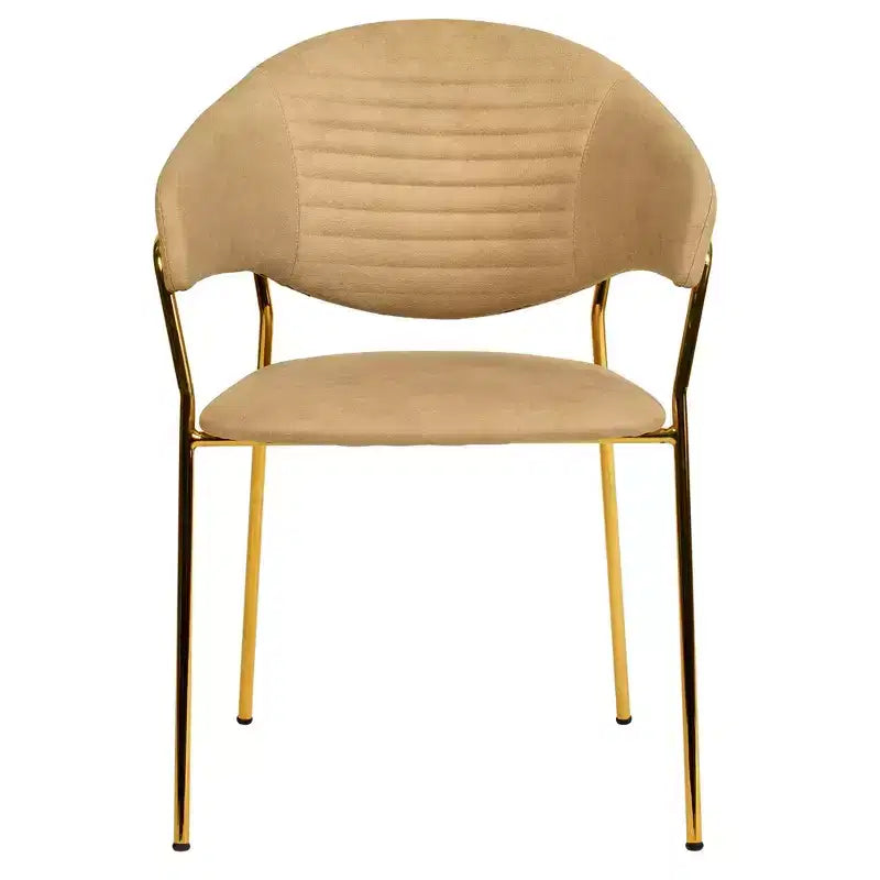 Sedia da pranzo imbottita in pelle e velluto, seduta e schienale ergonomici imbottiti, base durevole in acciaio inossidabile, poltroncina di design